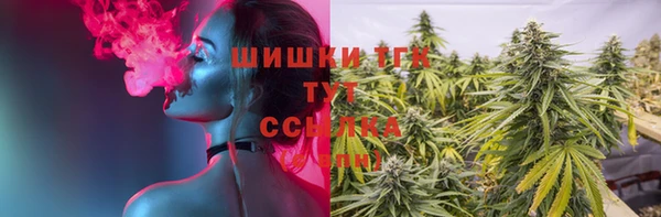 сатива Алексеевка